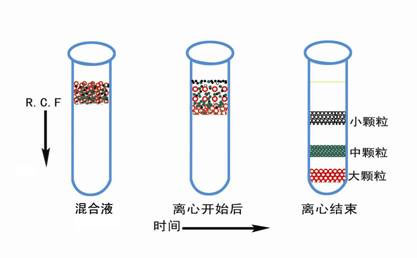 醫(yī)用離心機常用的離心方法